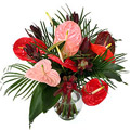 Flowers to Bangalore, Send Flowers to Bangalore