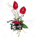Flowers to Bangalore