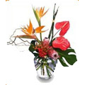 Flowers to Bangalore