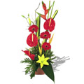 Flowers to Bangalore