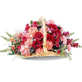Send Flowers to Bangalore, Flowers to Bangalore