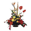 Send Flowers to Bangalore, Flowers to Bangalore