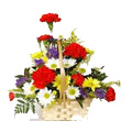 Send Flowers to Bangalore : Birthday Flowers to Bangalore