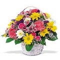 Send Flowers to Bangalore, New Year Flowers to Bangalore