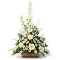  Flowers to Bangalore, Send Flowers to Bangalore