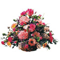 Send Flowers to Bangalore, Flowers to Bangalore
