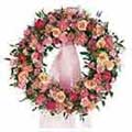 Flowers to Bengaluru : Send Flowers to Bengaluru
