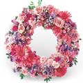 Flowers to Bengaluru : Send Flowers to Bengaluru
