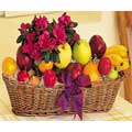 Gifts to Bangalore : Flowers to Bangalore