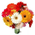 Send Mid Night Flowers to Bangalore