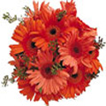 Flowers to Bangalore, Midnight Flowers to Bangalore