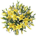 Send Flowers to Bangalore : Birthday Flowers to Bangalore