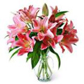 Flowers to Bangalore : Send Flowers to Bangalore