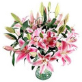 Send Flowers to Bangalore : Friendship Day Flowers to Bangalore