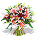 Flowers to Bangalore : Send Flowers to Bangalore