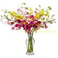 Flowers to Bangalore : Send Flowers to Bangalore