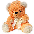 Gifts to Bangalore