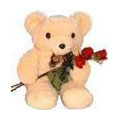 Gifts to Bangalore