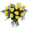 Flowers to Bangalore : Send Flowers to Bangalore