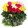 Flowers to Bangalore