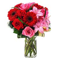 Flowers to Bangalore, Flowers to Bangalore