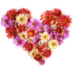 Send New Year Flowers to Bangalore