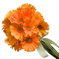 Mid Night Flowers to Bangalore