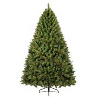 Christmas Gifts to Bangalore