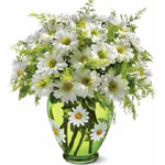 Wedding Flowers to Bangalore