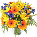 Christmas Flowers to Bangalore