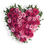 Deliver Online Flowers to Bangalore with Pink Red Roses Heart 50 Flowers for your brother or sister on Rakhi