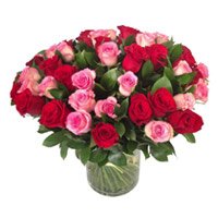 OSend Red Pink Roses in Vase 50 Flowers to Bangalore Online on Rakhi
