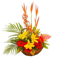 Online Delivery of Flowers to Bangalore