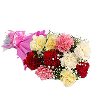 Send Friendship Day Mix Carnation Bouquet 12 Flowers to Bangalore