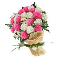 Deliver Pink White Carnation Bouquet 24 Flowers to Bangalore Online on New Year