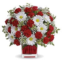 Send White Gerbera Red Carnation Vase 24 Rakhi Flowers to Bangalore