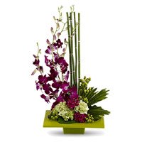 Send Flowers to Bangalore. Order 5 Orchids 10 Carnation Flower Arrangement