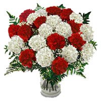 New Year Flowers to Bengaluru Comprising of Red White Carnation in Vase 24 Flowers in Bengaluru