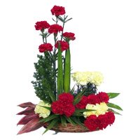 Order Rakhi Red Yellow Carnation Basket 24 Flowers Delivery to Bangalore