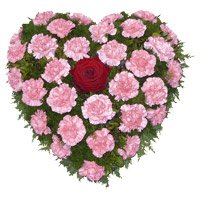 Online New Year Flower to Bangalore Online that contain 36 Pink Carnation Heart Arrangement