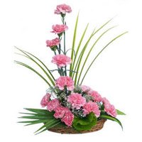 Same Day Diwali Flowers Delivery in Bangalore. 15 Pink Carnation Arrangement