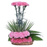 Rakhi with Flower Delivery in Bangalore. Online Pink Carnation Arrangement 20 Flowers to Bangalore