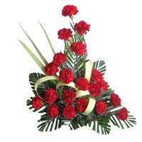 Same Day Deliver of Rakhi Flowers to Bangalore. Rakhi with Red Carnation Arrangement 20 Flowers in Bangalore