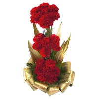 Send New Year Flowers to Bangalore. 30 Red Carnation Basket of Best Flowers to Bangalore