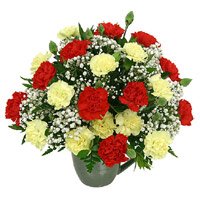 Send Rakhi to Bangalore with Red Yellow Carnation Vase 24 Flowers to Bangalore