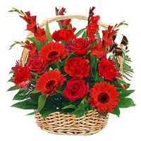 Online Order of Red Rose and Carnation with Glad Basket of 15 Flowers in Bangalore. Diwali Flowers to Bangalore
