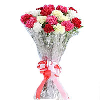 Send Mix Carnation Bouquet 24 Flowers to Bangalore for Friendship Day