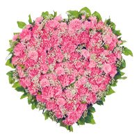 Order Pink Carnation Heart 50 Best Flowers to Bangalore on Rakhi