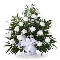 Online Rakhi Flower Delivery in Bangalore with White Carnation Basket 18 Flowers to Bangalore