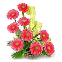 Send New Year Flowers to Bangalore. Pink Gerbera Basket 12 Flowers in Bangalore